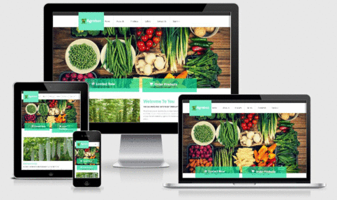 Agrobuz website